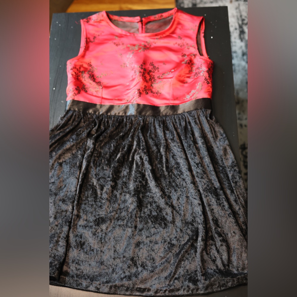 Black and Red Velvet/Brocade Dress